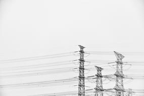 high-voltage power Lines, black and white