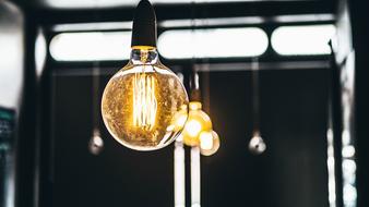 row of Light bulbs beneath ceiling
