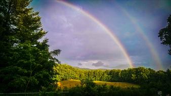delightful Double Rainbow