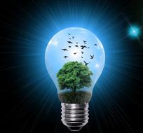 light bulb nature tree drawing