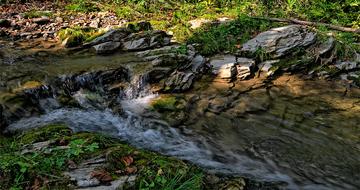Beautiful stream among the rocks and colorful plants, in the valley