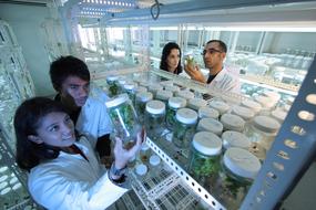 Scientists Research in Laboratory