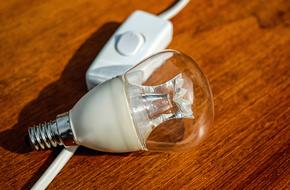 white Bulb Pear