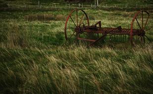 photo of a rusty plow on a green background