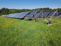 solar cells in row on meadow at summer