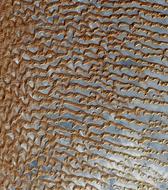 Desert Dunes Sand
