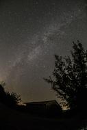 trees and roof of the building against the starry sky