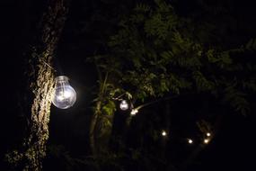 Light Lamp on dark