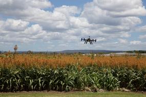 drone above farm filed