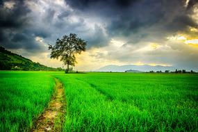 Thunderstorm clouds over rural landscape