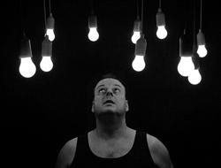 Light Bulbs Pears and Man