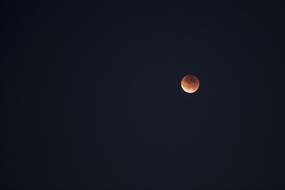 photo of the red moon in the black sky