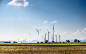 group of wind turbines on rural landscape