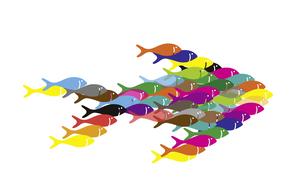 fish swarm together as an abstract illustration