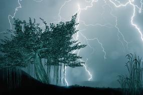 trees against a stormy sky and lightnings