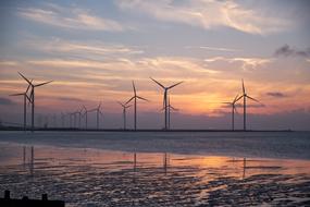 energy windmills on the North Sea on a background of purple-pink sky