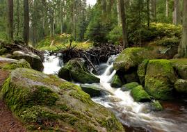 Å umava River