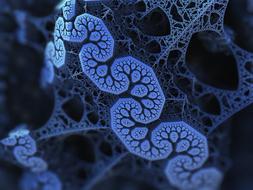 structure math biology network drawing