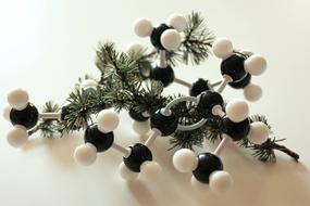 Beta-Himachalene Molecule model over cedar twig