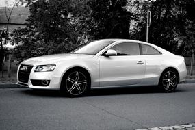Auto Audi lux in black and white