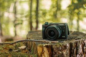 Camera Canon on a tree stump in the forest on a blurred background