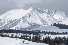 photo of a snowy mountain range in Yellowstone National Park, Montana, USA