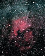 North America Nebula Ngc stars