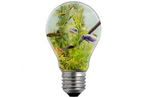bulb light white icon drawing