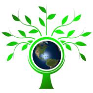 Earth in the green tree with leaves