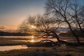 Elbe High Water sun