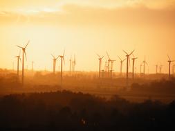 wind turbine in fog