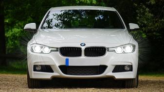 white BMW car is parked in a park