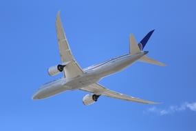 Boeing 787 Aircraft at flight