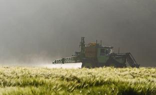 Agriculture Weed Destruction