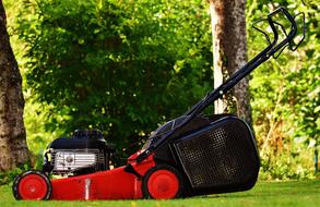 the lawn mower stands on the green grass in the garden