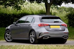 Mercedes A200 Car in garden