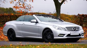 Car Mercedes Transport forest
