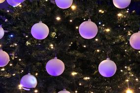 Lights Christmas violet