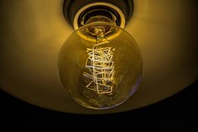 Light Bulb Pear electric