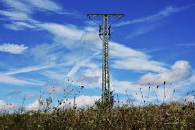 power lines in a field on a sunny day