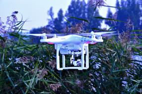 Flying, white and pink drone, among the colorful and beautiful plants, with the flowers