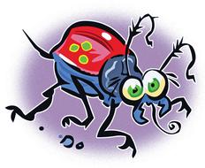 bug insect black wing drawing