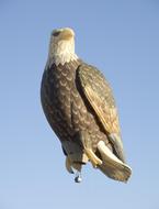 hot air balloon in the form of a bald eagle