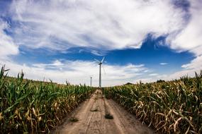 Crops Windmill