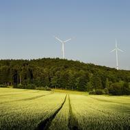 Pinwheel Forest Field power