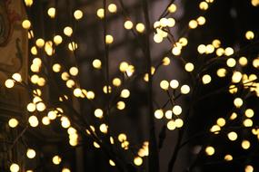 Light Christmas