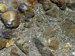 stones in clear water close up