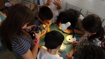 Children Investigate