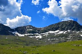 Nature Spring Flowers grass sky