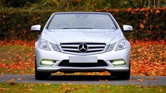 Shiny grey Mercedes car among the colorful autumn leaves and plants